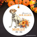 Thoughtful & Personalized Pet Memorial Keepsake Ornament, Forever in Our Hearts Skeleton Dog Custom Gift